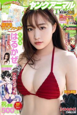 中原麻衣